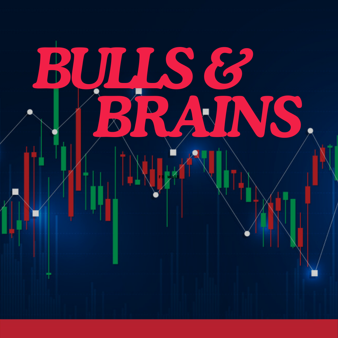 BULLS & BRAINS